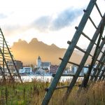 Fiskehjell i Svolvær (bilde)